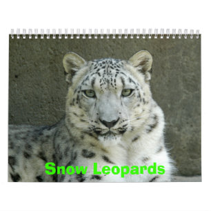 Snow Leopards Calendar, Snow Leopards Calendar
