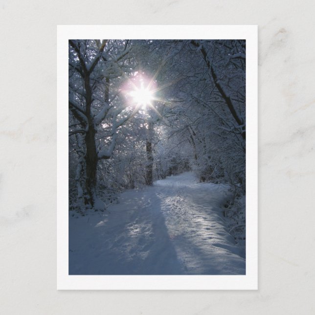 Snow & Light Postcard (Front)