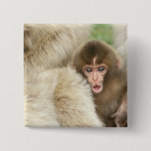 Snow Monkey Baby, Jigokudani, Nagano, Japan 2 Inch Square Button
