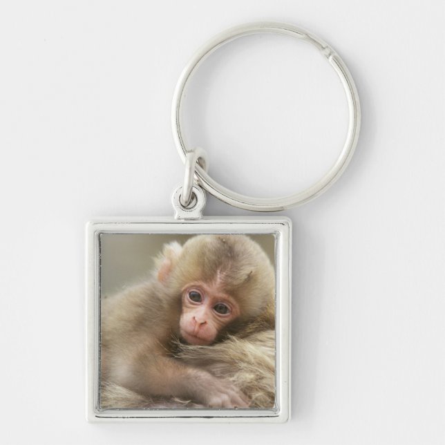 Snow Monkey Baby, Jigokudani, Nagano, Japan 2 Keychain (Front)