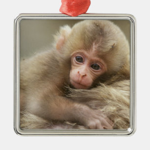Snow Monkey Baby, Jigokudani, Nagano, Japan 2 Metal Ornament