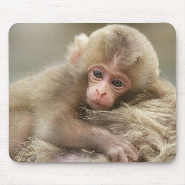 Snow Monkey Baby, Jigokudani, Nagano, Japan 2 Mouse Pad (Front)