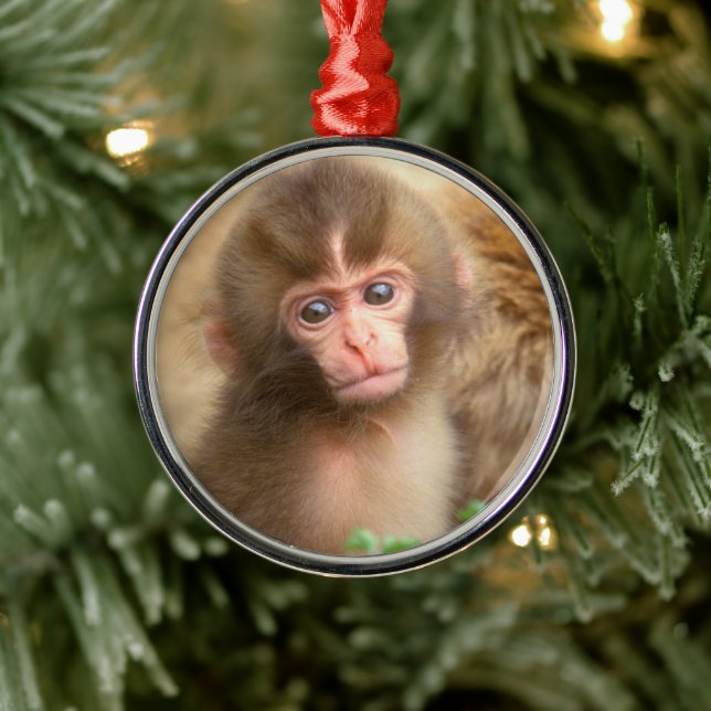 Snow Monkey Baby Portrait Metal Ornament (Tree)