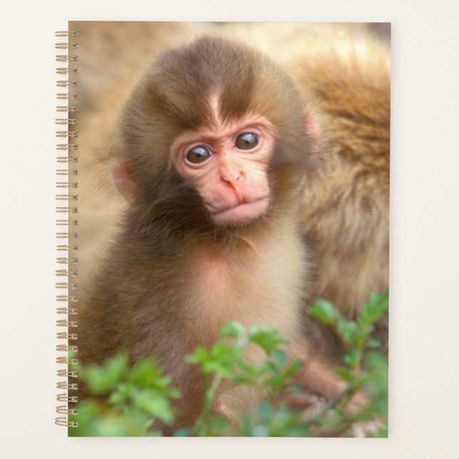 Snow Monkey Baby Portrait Planner (Front)