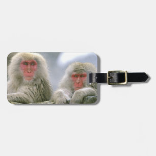Snow Monkey Couple, Japanese Macaque, Luggage Tag