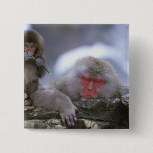Snow Monkey Mother & Child, Jigokudani, Nagano, 2 Inch Square Button