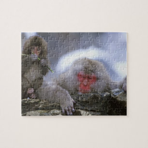 Snow Monkey Mother & Child, Jigokudani, Nagano, Jigsaw Puzzle