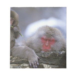 Snow Monkey Mother & Child, Jigokudani, Nagano, Notepad