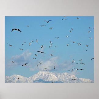Snow Mountain Poster