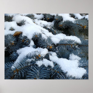 snow on branches poster