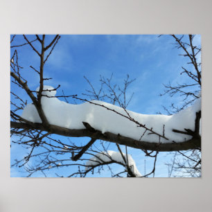 Snow on branches poster