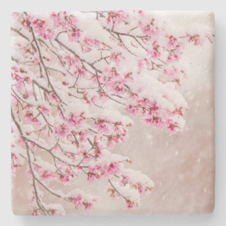 Snow on Cherry Blossoms 4" x 4" Limestone Coaster