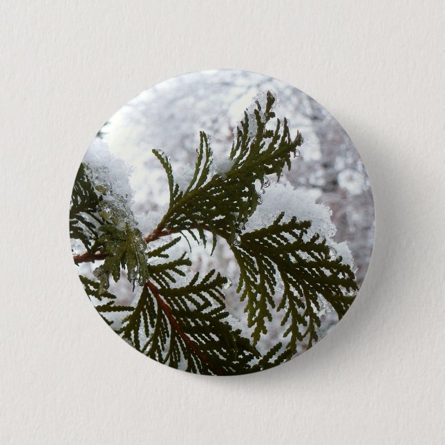 Snow on Evergreen Branches 2 Inch Round Button (Front)