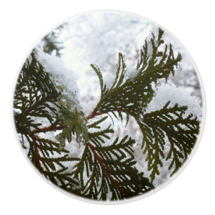 Snow on Evergreen Branches Ceramic Knob