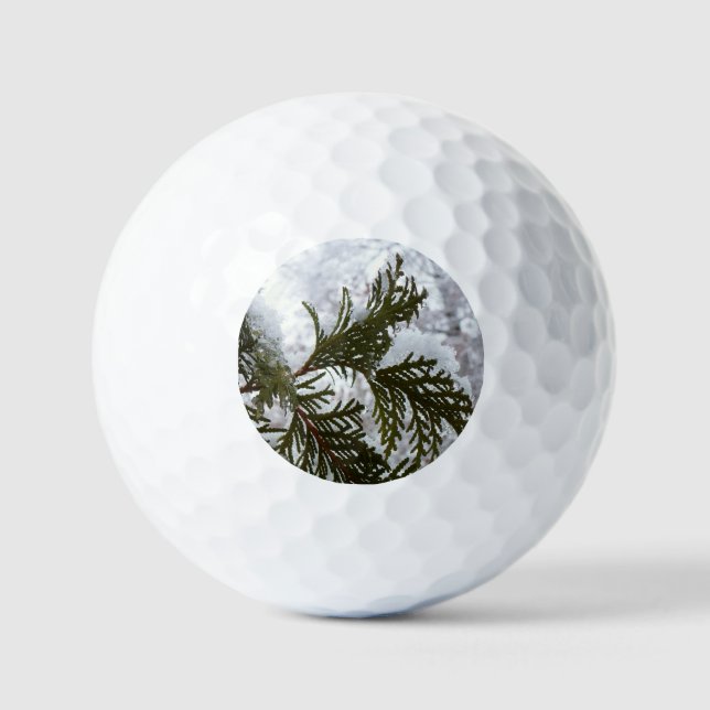Snow on Evergreen Branches Golf Balls (Front)