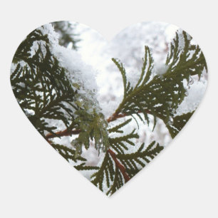 Snow on Evergreen Branches Heart Sticker
