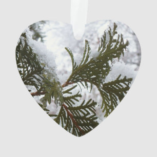 Snow on Evergreen Branches Ornament