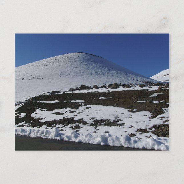 Snow on Mauna Kea Postcard (Front)