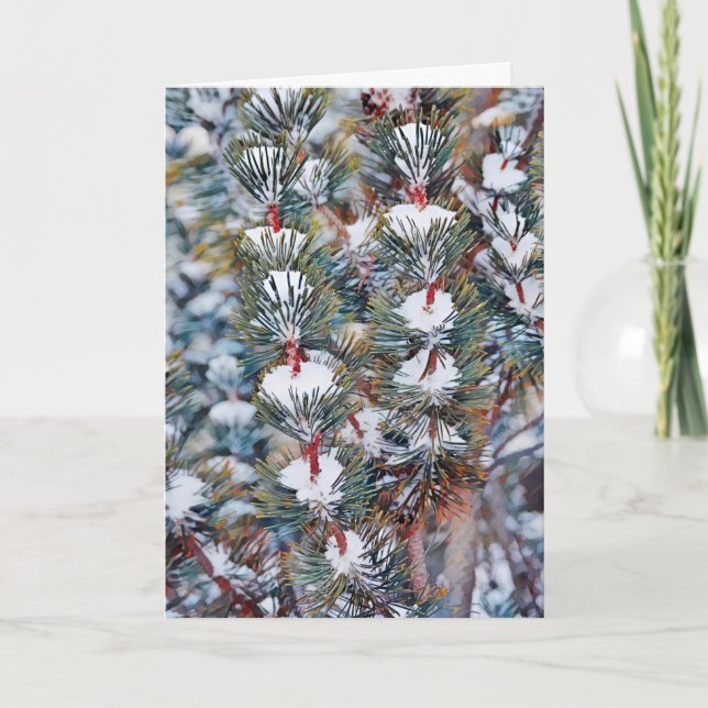 Snow on Pine Branches Art Christmas Card (Front)