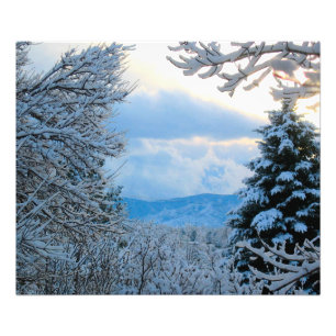 Snow on Pine Trees in Colorado Rocky Mountains Photo Print