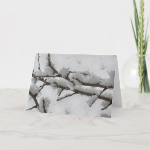 Snow on Tree Branch Holiday Card