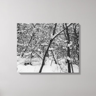Snow on trees black and white photo on canvas