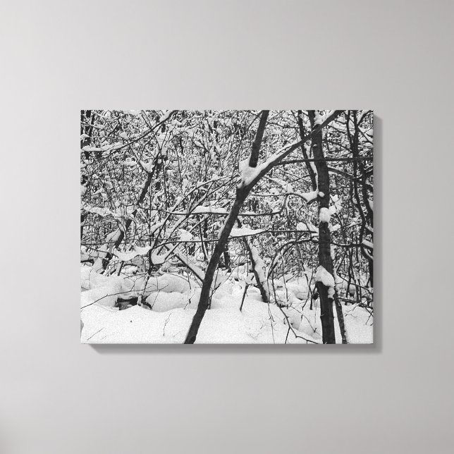 Snow on trees black and white photo on canvas (Front)