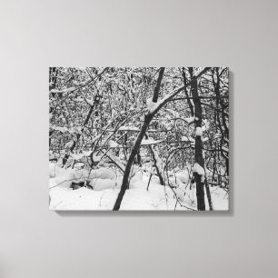 Snow on trees black and white photo on canvas print