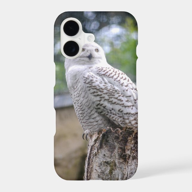 Snow owl (Back)