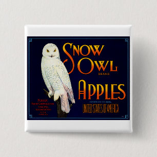 Snow Owl Apples 2 Inch Square Button
