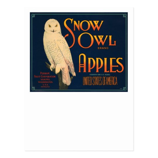 Snow Owl Brand Apples Postcard