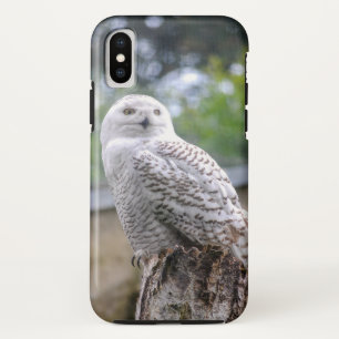 Snow owl... Case-Mate iPhone case