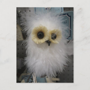 Snow Owl Decoration Postcard