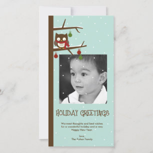 Snow Owl Holiday Photo Card