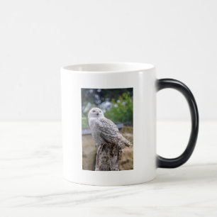 Snow owl magic mug
