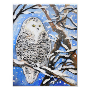 Snow Owl Photo Print