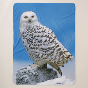 Snow Owl Sherpa Blanket