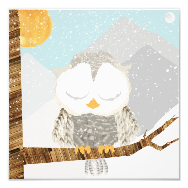 Snow Owl Sleeping in a Tree Photo Print (Front)