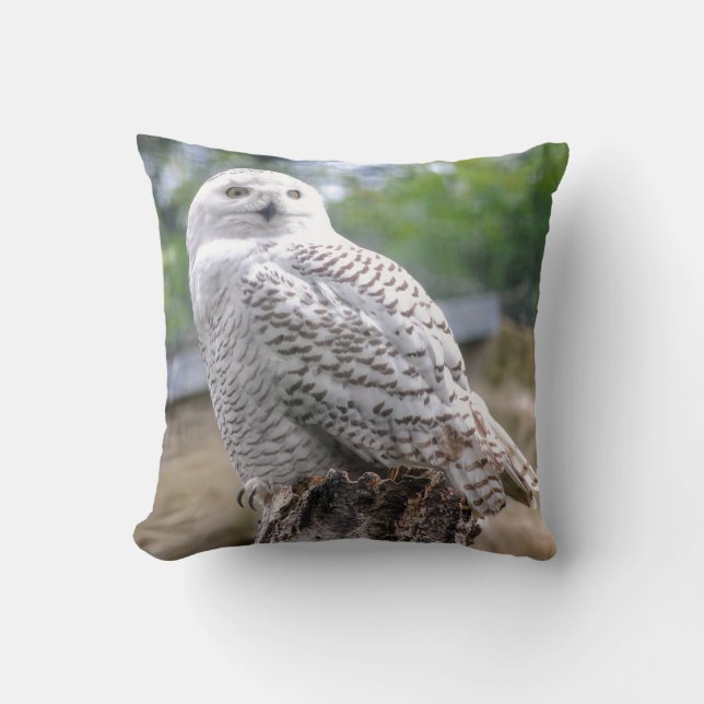 Snow owl throw pillow (Front)