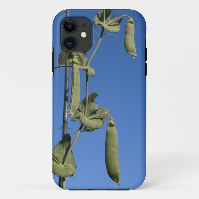 Snow Peas on Blue Sky iPhone 5 Case (Back)
