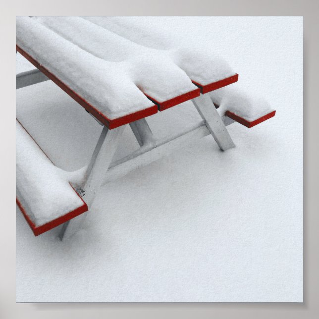 snow picnic poster (Front)