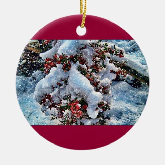 Snow  pictures on an orniment ceramic ornament (Front)