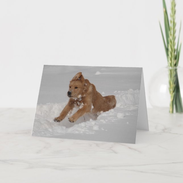 Snow Plow! Card (Front)