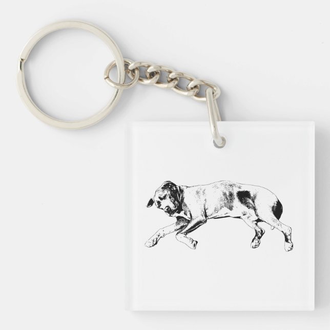 Snow-Pocket Dream Keychain (Front)
