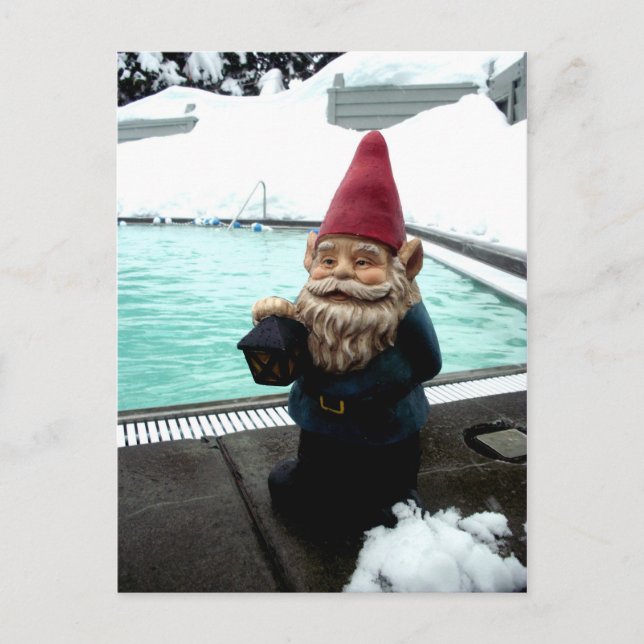 Snow Pool Gnome Postcard (Front)