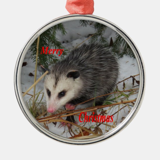 Snow Possum Metal Ornament (Front)