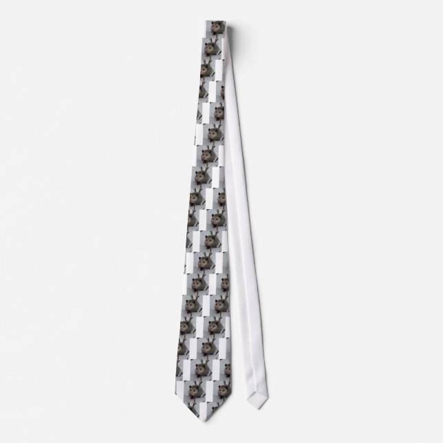 Snow Possum Tie (Front)