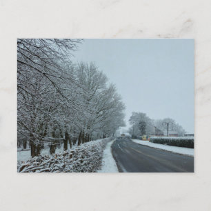 Snow  postcard