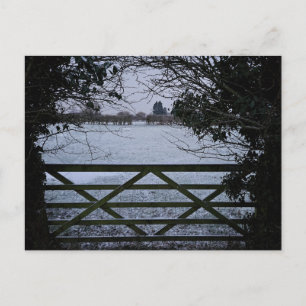 Snow postcard