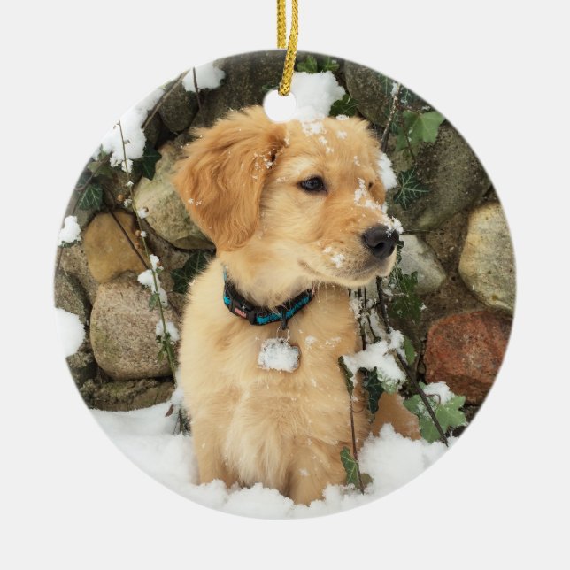 Snow Puppy Ceramic Ornament (Front)